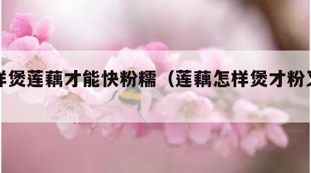 怎样煲莲藕才能快粉糯（莲藕怎样煲才粉又快）