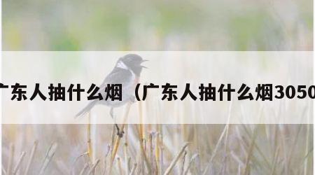广东人抽什么烟（广东人抽什么烟3050）