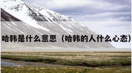 哈韩是什么意思（哈韩的人什么心态）