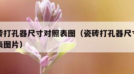 瓷砖打孔器尺寸对照表图（瓷砖打孔器尺寸对照表图片）