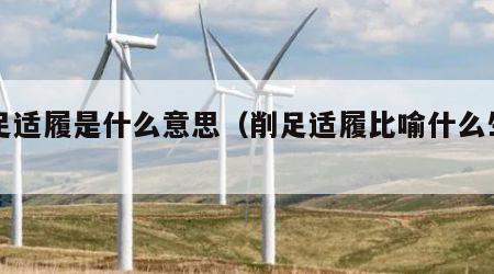 削足适履是什么意思（削足适履比喻什么生肖）