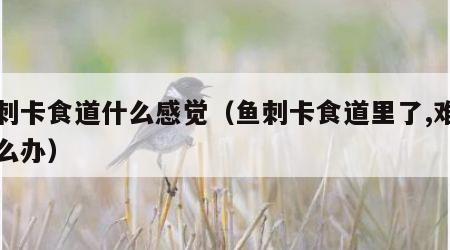 鱼刺卡食道什么感觉（鱼刺卡食道里了,难受怎么办）