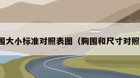 胸围大小标准对照表图（胸围和尺寸对照表）