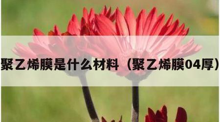 聚乙烯膜是什么材料（聚乙烯膜04厚）