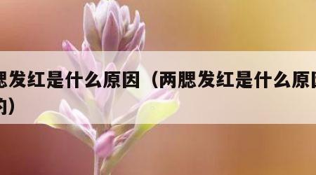 两腮发红是什么原因（两腮发红是什么原因造成的）