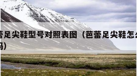 芭蕾足尖鞋型号对照表图（芭蕾足尖鞋怎么选尺码）