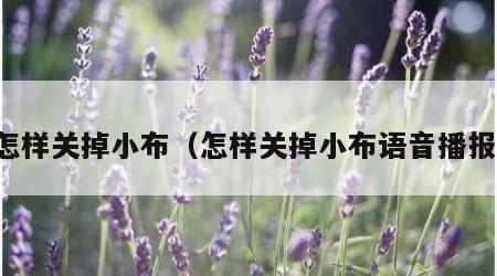 怎样关掉小布（怎样关掉小布语音播报）