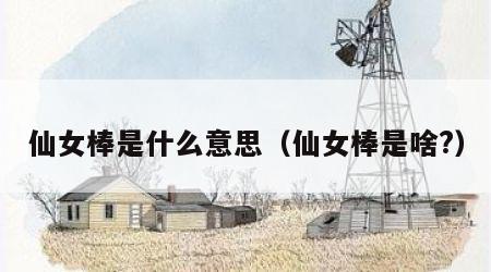 仙女棒是什么意思（仙女棒是啥?）