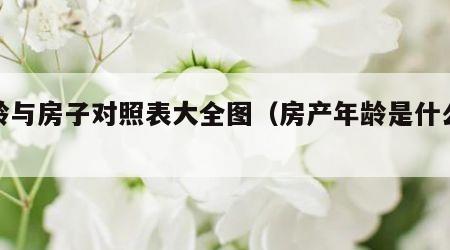 年龄与房子对照表大全图（房产年龄是什么意思）