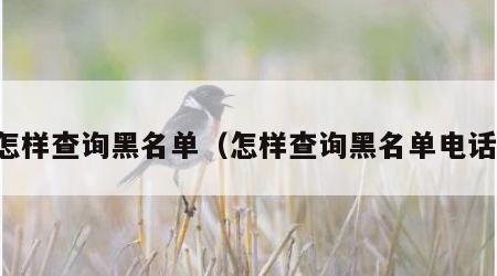 怎样查询黑名单（怎样查询黑名单电话）