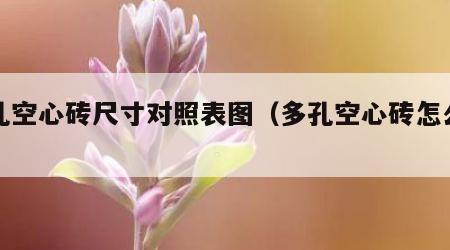 多孔空心砖尺寸对照表图（多孔空心砖怎么砌法）