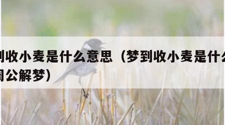 梦到收小麦是什么意思（梦到收小麦是什么意思周公解梦）