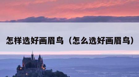 怎样选好画眉鸟（怎么选好画眉鸟）