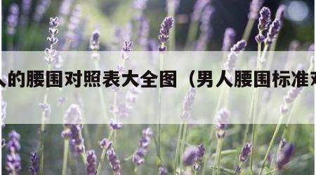 男人的腰围对照表大全图（男人腰围标准对照表）