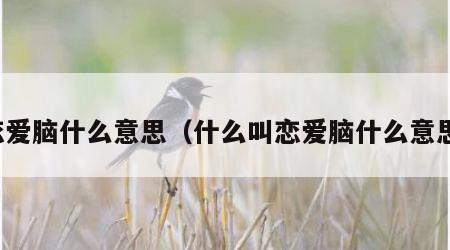 恋爱脑什么意思（什么叫恋爱脑什么意思）
