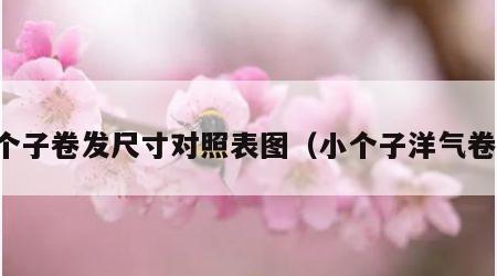 小个子卷发尺寸对照表图（小个子洋气卷发）
