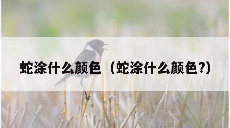蛇涂什么颜色（蛇涂什么颜色?）