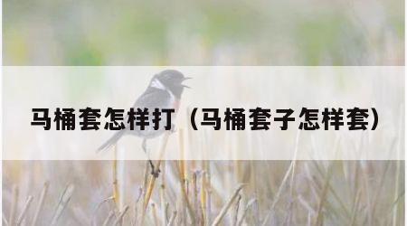 马桶套怎样打（马桶套子怎样套）