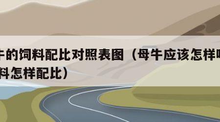 母牛的饲料配比对照表图（母牛应该怎样喂料,饲料怎样配比）