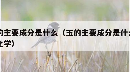 玉的主要成分是什么（玉的主要成分是什么高中化学）