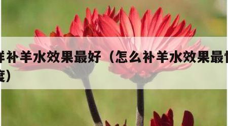 怎样补羊水效果最好（怎么补羊水效果最快的速度）