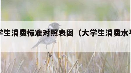 大学生消费标准对照表图（大学生消费水平图表）