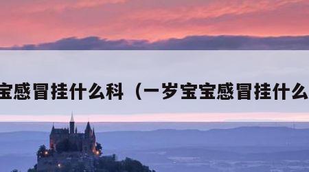 宝宝感冒挂什么科（一岁宝宝感冒挂什么科）