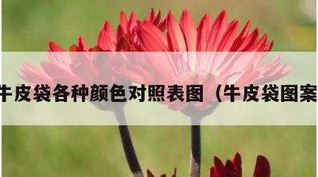 牛皮袋各种颜色对照表图（牛皮袋图案）