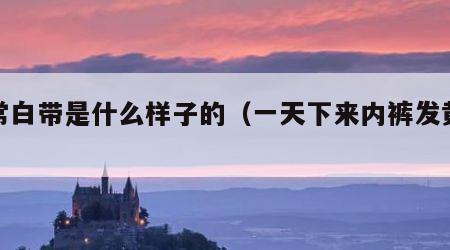 正常白带是什么样子的（一天下来内裤发黄结痂）
