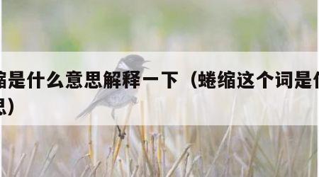 蜷缩是什么意思解释一下（蜷缩这个词是什么意思）