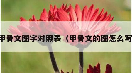 甲骨文图字对照表（甲骨文的图怎么写）