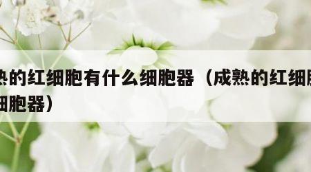 成熟的红细胞有什么细胞器（成熟的红细胞中的细胞器）