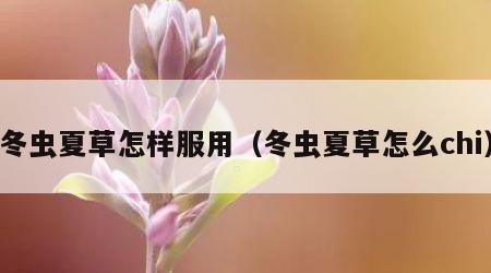 冬虫夏草怎样服用（冬虫夏草怎么chi）