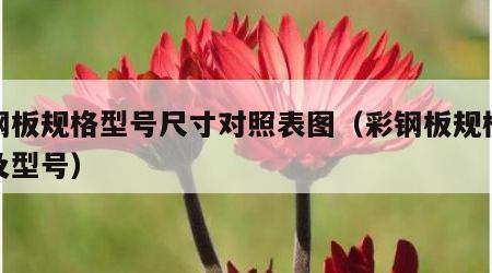 彩钢板规格型号尺寸对照表图（彩钢板规格尺寸及型号）