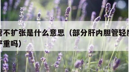 胆管不扩张是什么意思（部分肝内胆管轻度扩张严重吗）