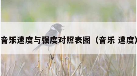 音乐速度与强度对照表图（音乐 速度）