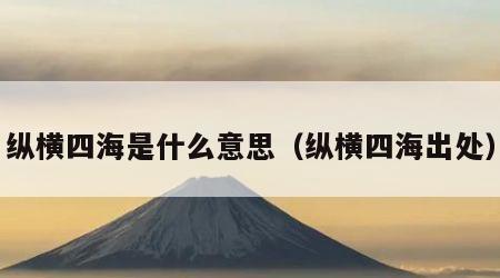 纵横四海是什么意思（纵横四海出处）