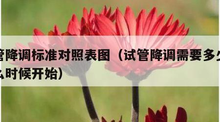 试管降调标准对照表图（试管降调需要多少天什么时候开始）