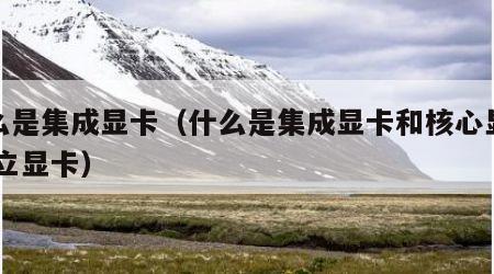 什么是集成显卡（什么是集成显卡和核心显卡,独立显卡）