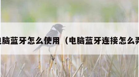 电脑蓝牙怎么使用（电脑蓝牙连接怎么弄）