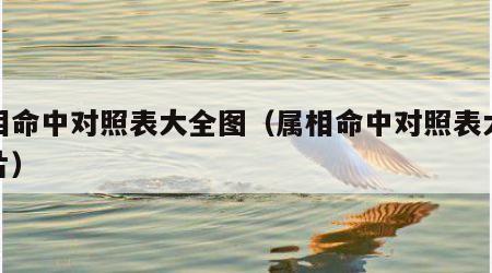 属相命中对照表大全图（属相命中对照表大全图片）