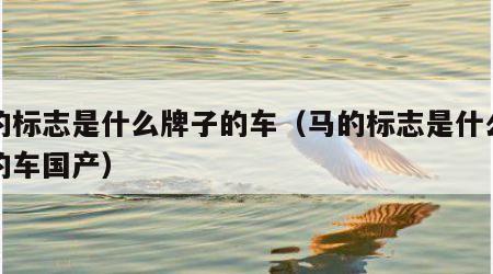 马的标志是什么牌子的车（马的标志是什么牌子的车国产）