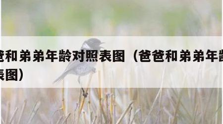 爸爸和弟弟年龄对照表图（爸爸和弟弟年龄对照表图）