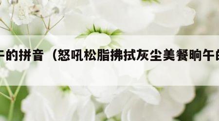晌午的拼音（怒吼松脂拂拭灰尘美餐晌午的拼音）