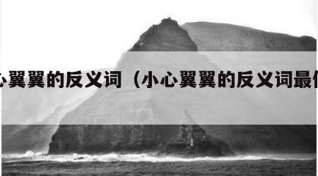 小心翼翼的反义词（小心翼翼的反义词最佳答案）