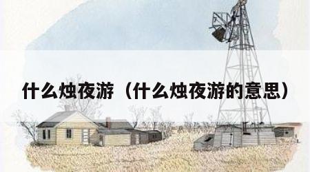 什么烛夜游（什么烛夜游的意思）