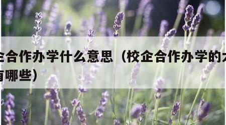 校企合作办学什么意思（校企合作办学的大学都有哪些）