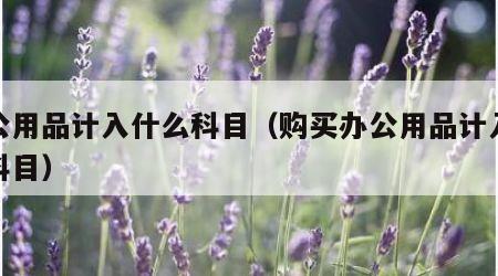 办公用品计入什么科目（购买办公用品计入什么科目）