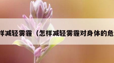 怎样减轻雾霾（怎样减轻雾霾对身体的危害）