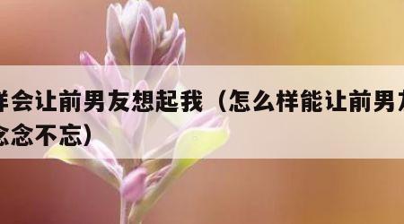怎样会让前男友想起我（怎么样能让前男友对你念念不忘）
